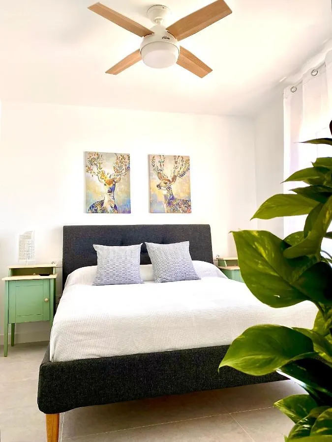 Apartamento Luz De Conil Aire Acondicionado Y Wifi -Solo Familias Y Parejas- Conil De La Frontera 0*,